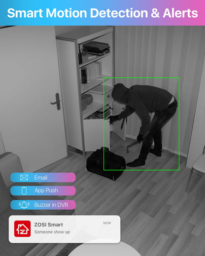 ZOSI 8CH 5MP CCTV Security System AI Human & Vehicle Detection + 2TB